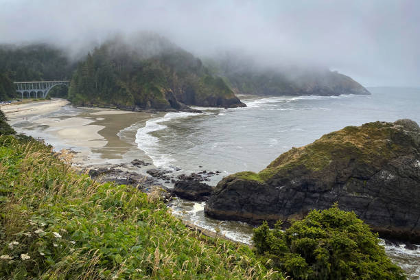 istock Scenic view Cape Cove Beach and Devils Elbow at Oregon Pacific Coast, USA 2173808469
