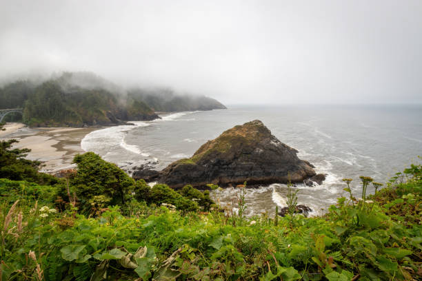 istock Scenic view Cape Cove Beach and Devils Elbow at Oregon Pacific Coast, USA 2173808552