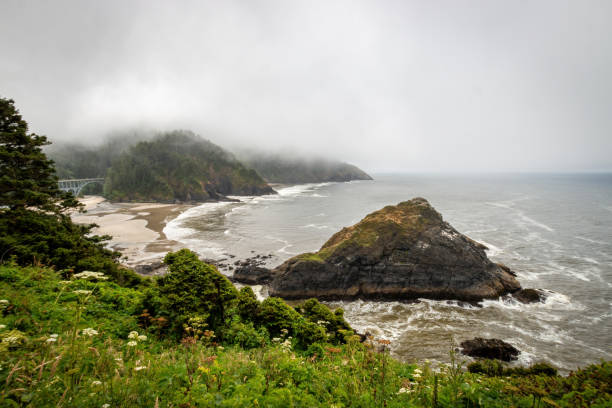 istock Scenic view Cape Cove Beach and Devils Elbow at Oregon Pacific Coast, USA 2173808578