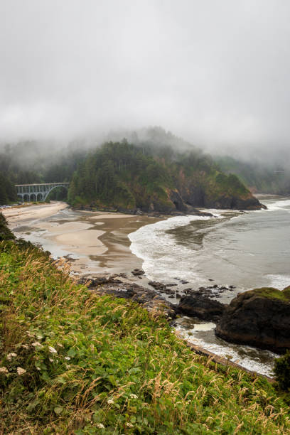 istock Scenic view Cape Cove Beach and Devils Elbow at Oregon Pacific Coast, USA 2173808583