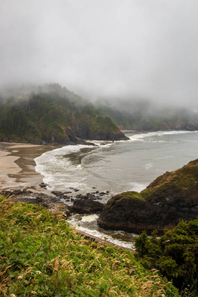 istock Scenic view Cape Cove Beach and Devils Elbow at Oregon Pacific Coast, USA 2173808584