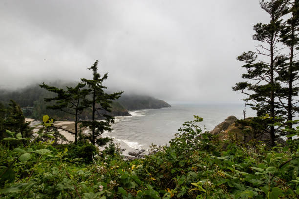 istock Scenic view Cape Cove Beach and Devils Elbow at Oregon Pacific Coast, USA 2173808587