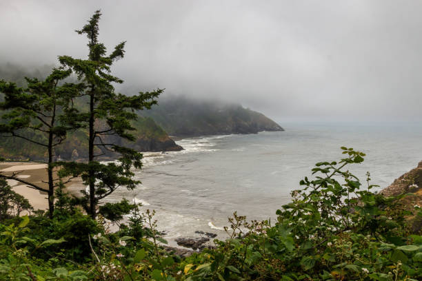 Scenic view Cape Cove Beach and Devils Elbow at Oregon Pacific Coast, USA