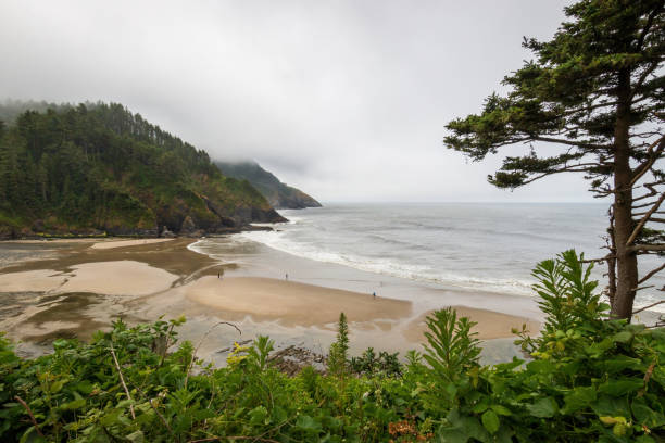 istock Scenic view Cape Cove Beach and Devils Elbow at Oregon Pacific Coast, USA 2173808738