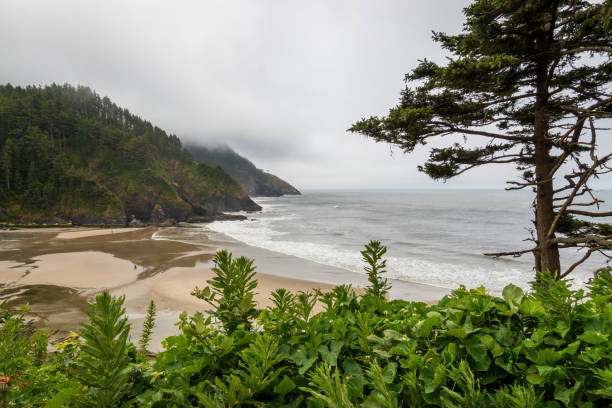 istock Scenic view Cape Cove Beach and Devils Elbow at Oregon Pacific Coast, USA 2173808831