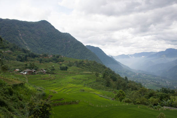 The beauty of the mountains of northern Vietnam and the terraced rice fields. In SaPa, June 29, 2024