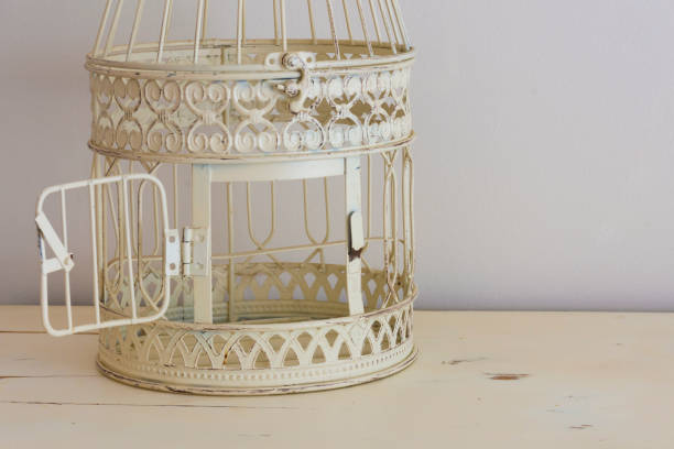 A close up image of a very old metal bird cage with a wide open door.