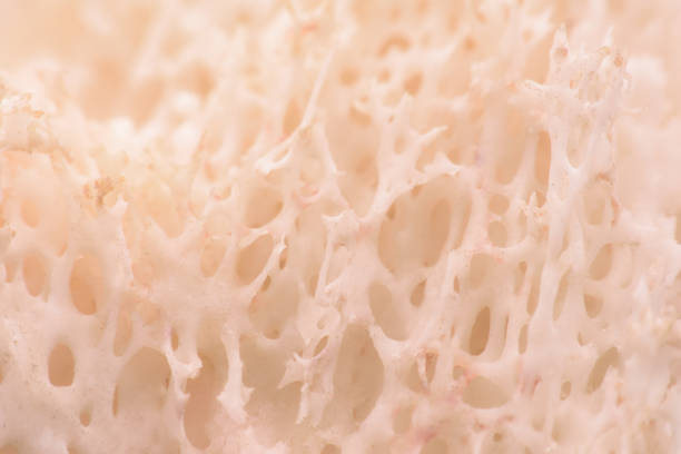 white coral