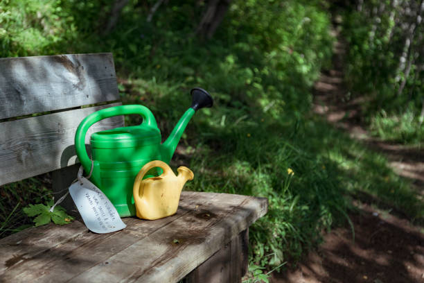 A green watering can and a yellow kettle sit on a wooden bench amidst vibrant grass and shrubs. This relaxing spot captures the peaceful essence of Lofoten, Nordland, Norway.
