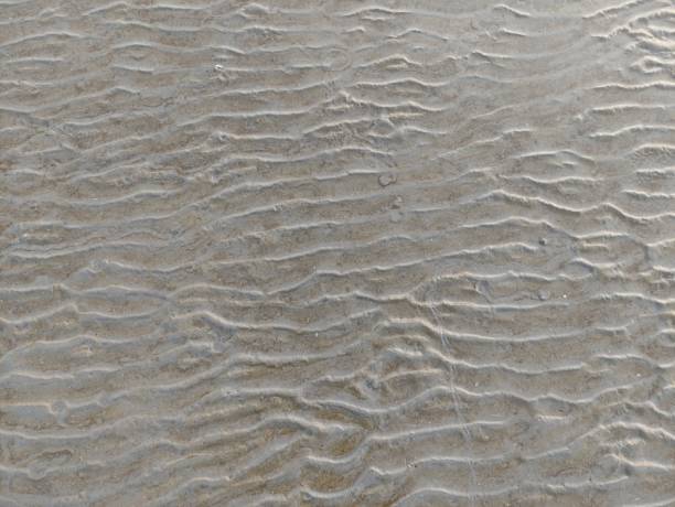 istock The texture of wet sand on the beach with a wave pattern is suitable for background illustrations 2173816873