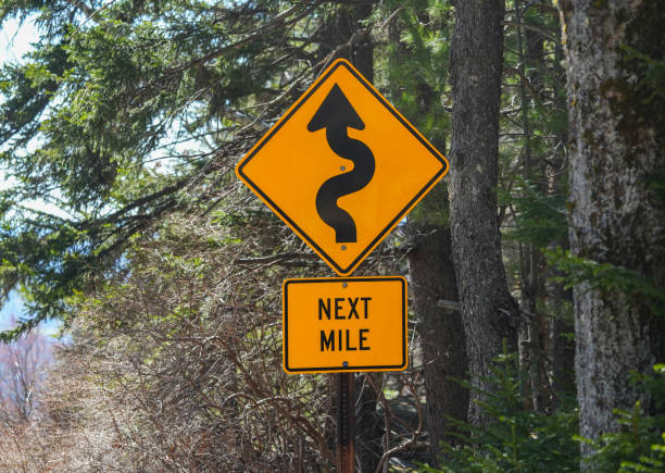 istock winding road sign in pine tree forest roadside 2173823729