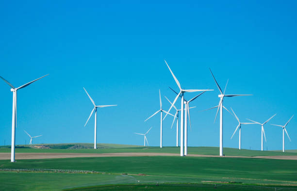 istock wind turbine on green meadow 2173823919