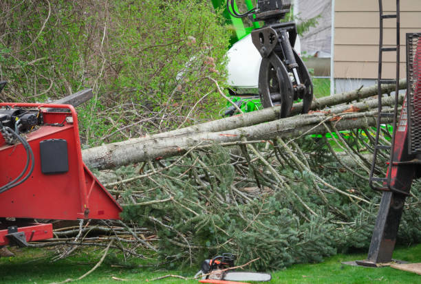istock removed tree trunk by crane in residential area 2173824169