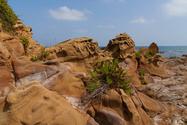 Rugged coastal rock formations with patches of vegetation, overlooking a calm sea under a blue sky. A picturesque coastal scene showcasing the natural beauty of erosion and plant life.