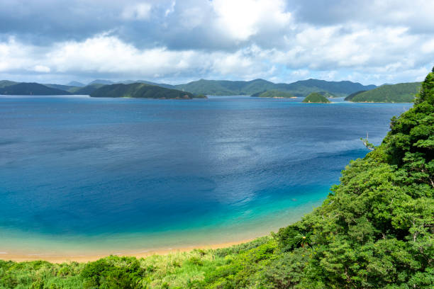 istock Scenery of Amami Oshima 2173830578
