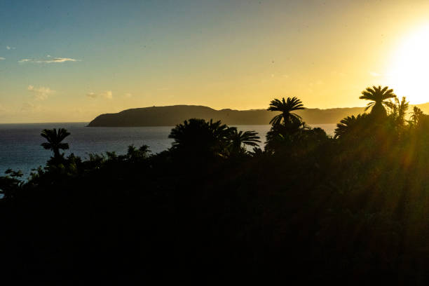 istock Scenery of Amami Oshima 2173830640