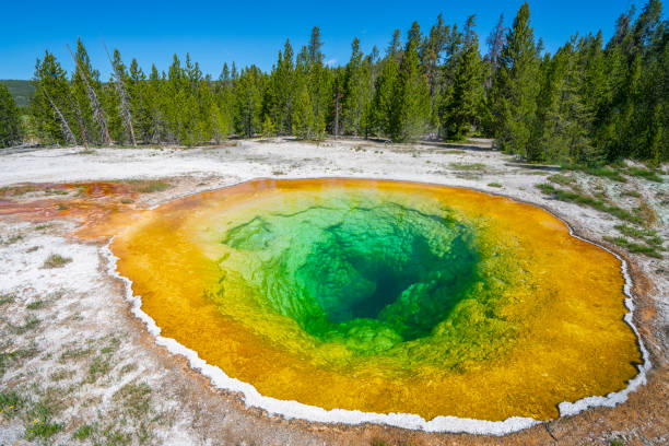 istock close up on Morning glory pool in Yellowstone National Park 2173842607