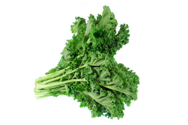 istock fresh green kale vegetable isolated on white background 2173843001