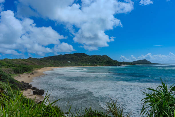 istock The coral reefs of Amami 2173843319