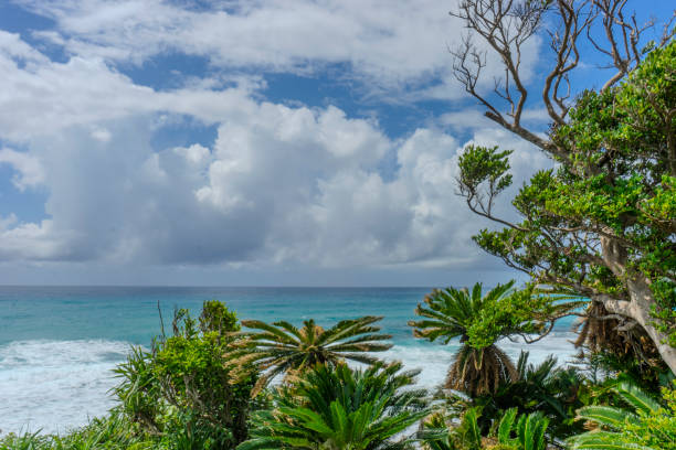 istock The coral reefs of Amami 2173843355