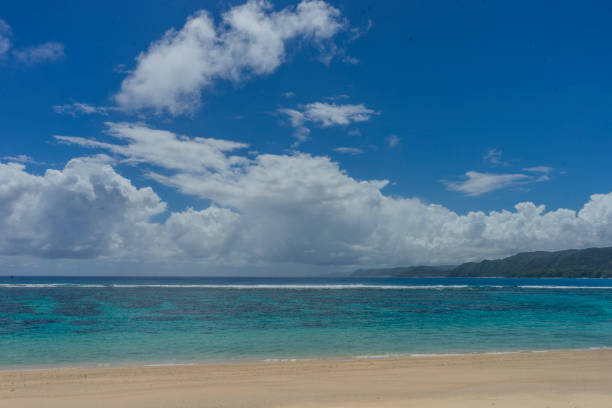 istock The coral reefs of Amami 2173843374