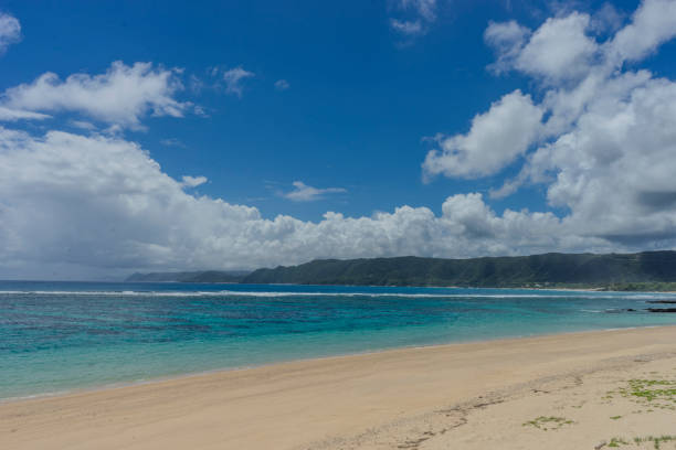 istock The coral reefs of Amami 2173843387