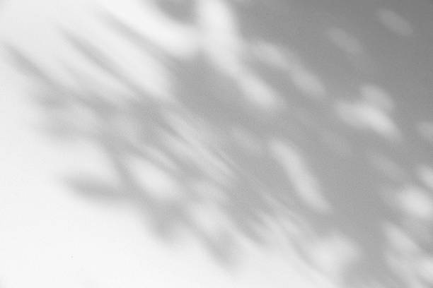 istock Studio style background wall decoration presentation uses white tones. with shadows cast from a nearby window, concept creating a decorative backdrop. 2173845380
