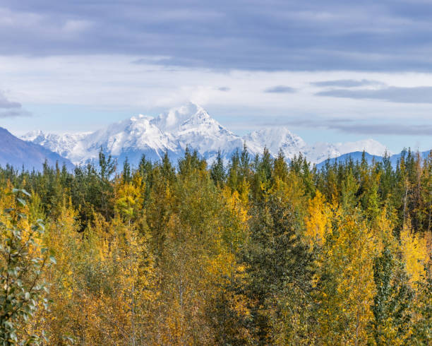 istock View of Alaskan mountain range 2173847774
