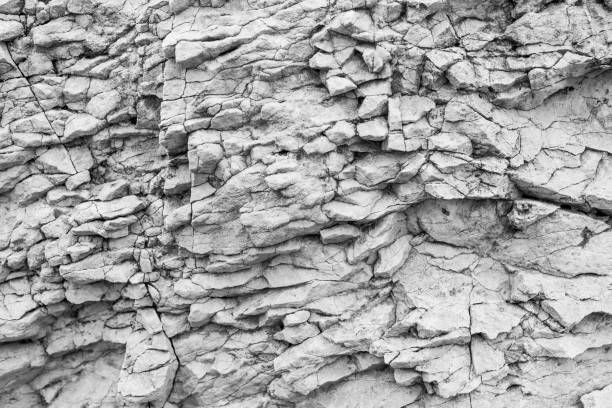 istock Black and white stone texture. Gray natural rock. Perfect for background. 2173850639