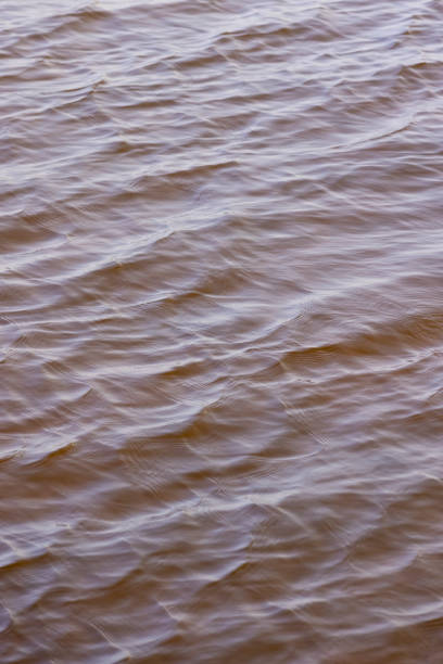 istock dark muddy lake water in winter without snow 2173850666