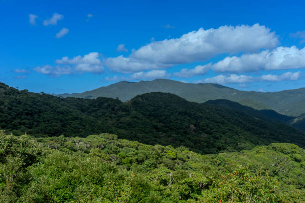 istock Amami Oshima viewed from the mountains 2173851307