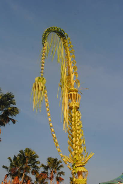 istock Janur Kuning is an Indonesian wedding symbol. 2173852852