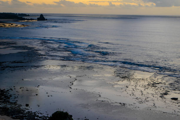 Coral reef sea bathed in the morning sun
