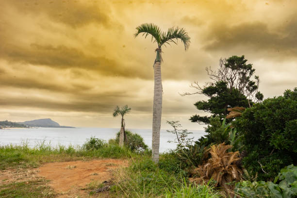 Scenery of Amami Oshima