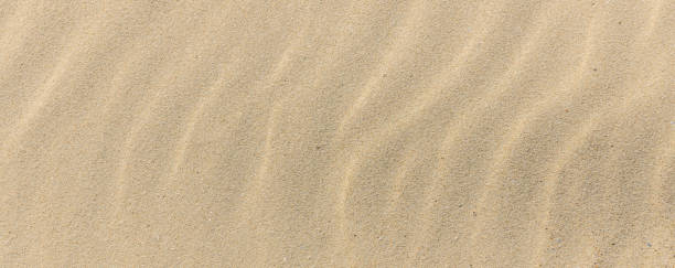 Sand texture. Sandy beach for background. Top view. Natural sand stone texture background. sand on the beach as background. Wavy sand background for summer designs.