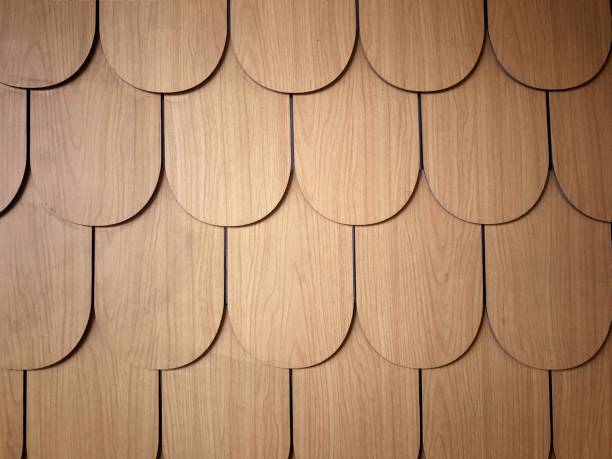 istock Brown fish scale wood wall background 2173857432