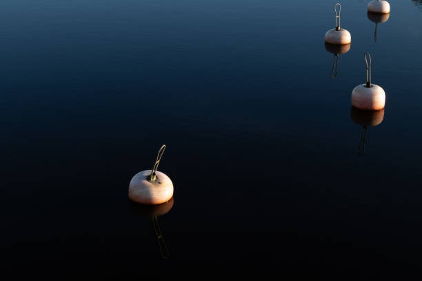 istock dark water mooring buoys in harbor 2173862665