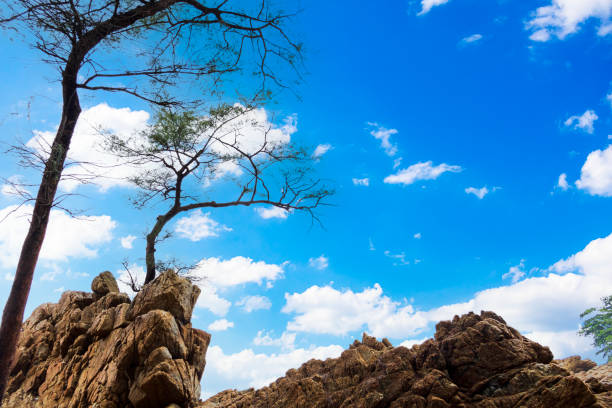 Desert mountain boulders landscape in the Joshua Tree National Park