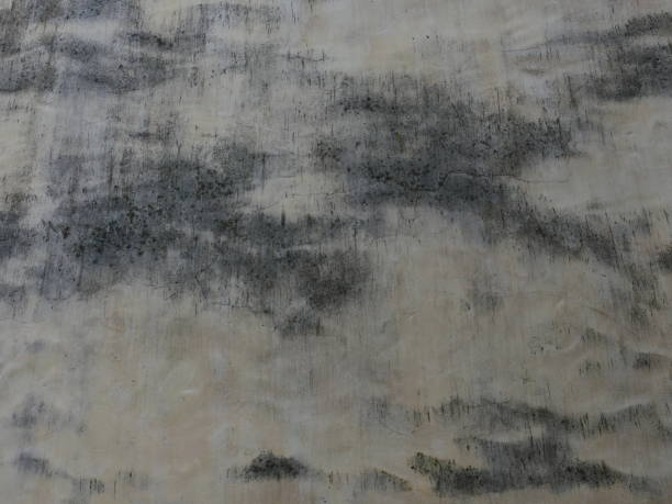 istock Imaginary landscape, stains on the gray wall 2173868159
