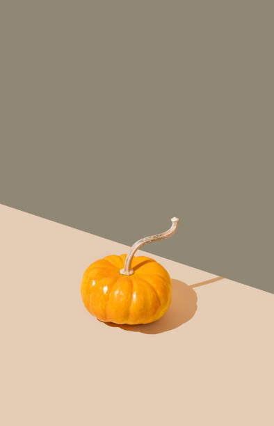 istock Decorative pumpkin on light background with hard shadow. Autumn holiday concept of Thanksgiving or Halloween. 2173868518