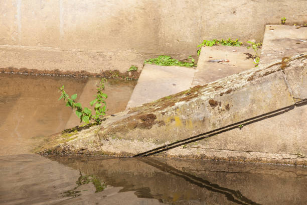 istock Old brown steps by a body of water 2173871737