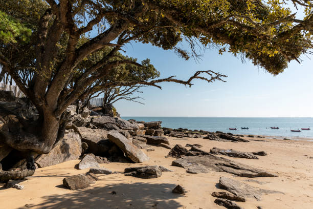istock The Pointe Saint-Pierre - Noirmoutier 2173872005