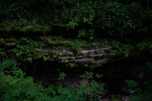 Two women hiking alone in NY