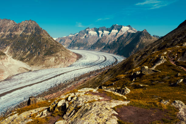 View along the curve of the Aletsch Glacier from the trail between Bettmeralp to Marjelen in the Valais district of Switzerland.