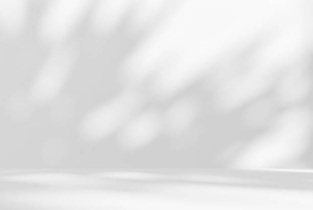istock Empty white room studio with leaves shadow overlay effect for product presentation display. 2173877501