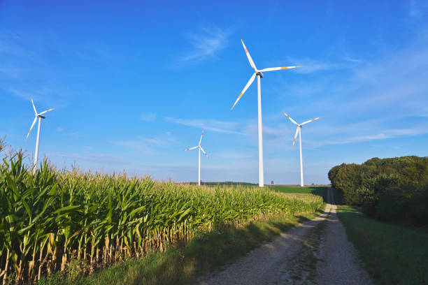 istock Renewable Energy - Wind Power Plants on Agriculture Field 2173884634