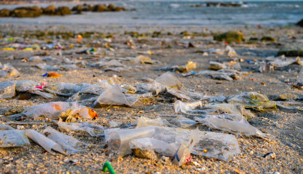 istock trash, plastic cups and plastic bags at the beach. environmental problem concept and healing the world 2173888586