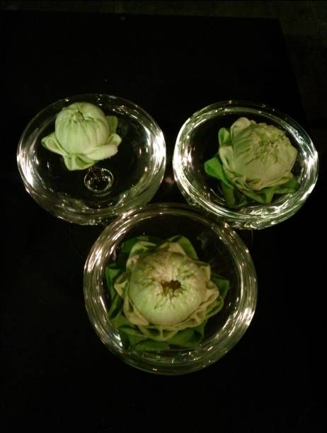 Lotus flowers in glass create a striking effect in the picture.