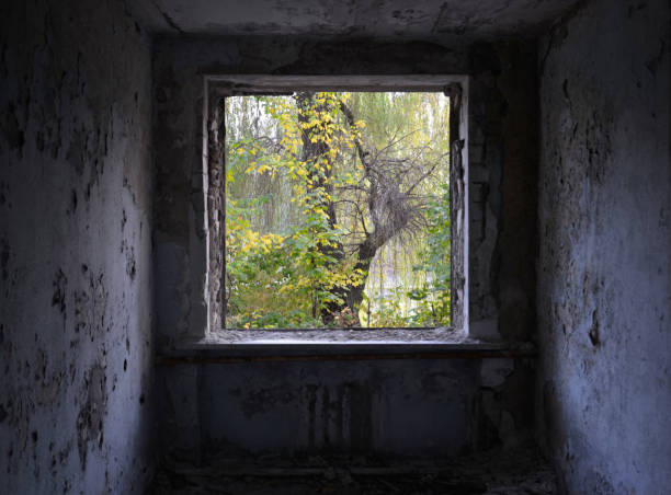 istock Autumn trees through the window of abandoned building 2173894072