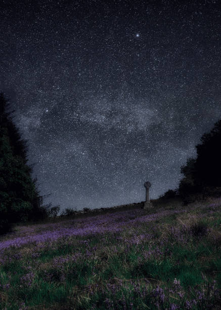 istock Bluebells and Stars, Dartmoor, Devon 2173896755